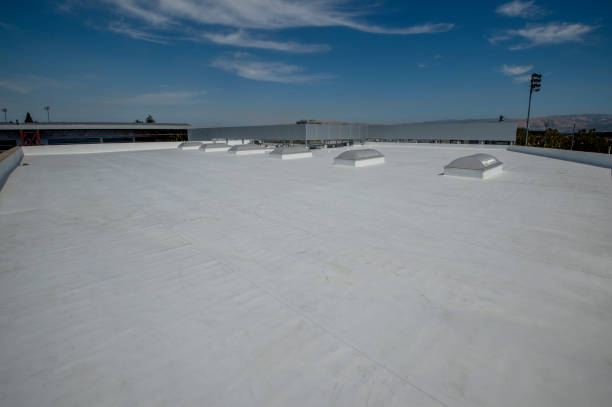 Best Flat Roofing  in Penitas, TX