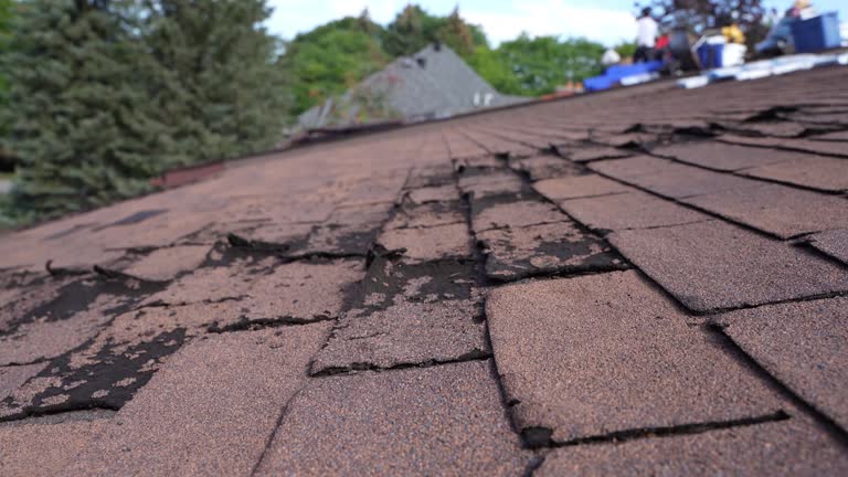 Best Slate Roofing  in Penitas, TX