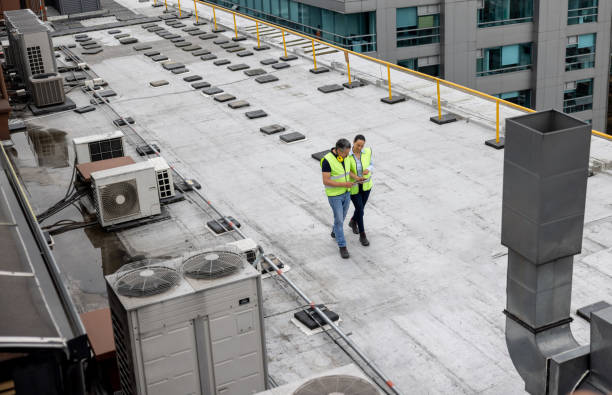 Best Roof Maintenance and Cleaning  in Penitas, TX