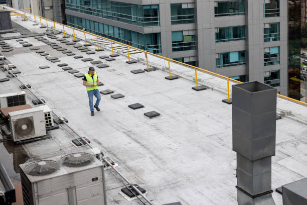 Best Green or Eco-Friendly Roofing Solutions  in Penitas, TX