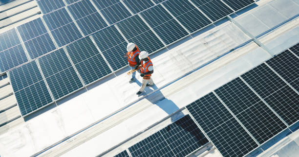 Best Roof Insulation Installation  in Penitas, TX
