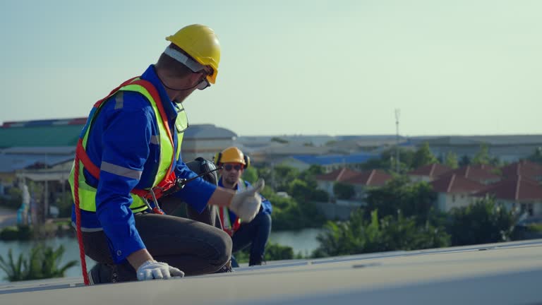 Best Sheet Metal Roofing  in Penitas, TX