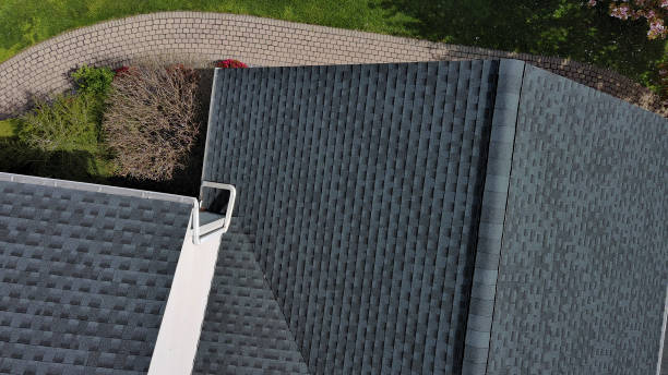 Best Roof Moss and Algae Removal  in Penitas, TX