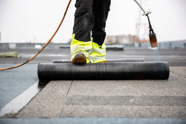 Best Cold Roofs  in Penitas, TX