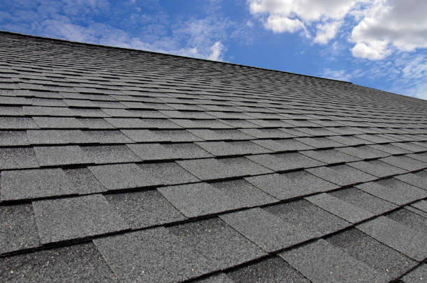Best Green or Eco-Friendly Roofing Solutions  in Penitas, TX
