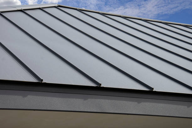 Best Skylight Installation and Repair  in Penitas, TX