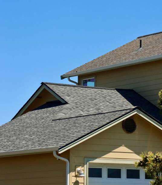 Best Storm Damage Roof Repair  in Penitas, TX